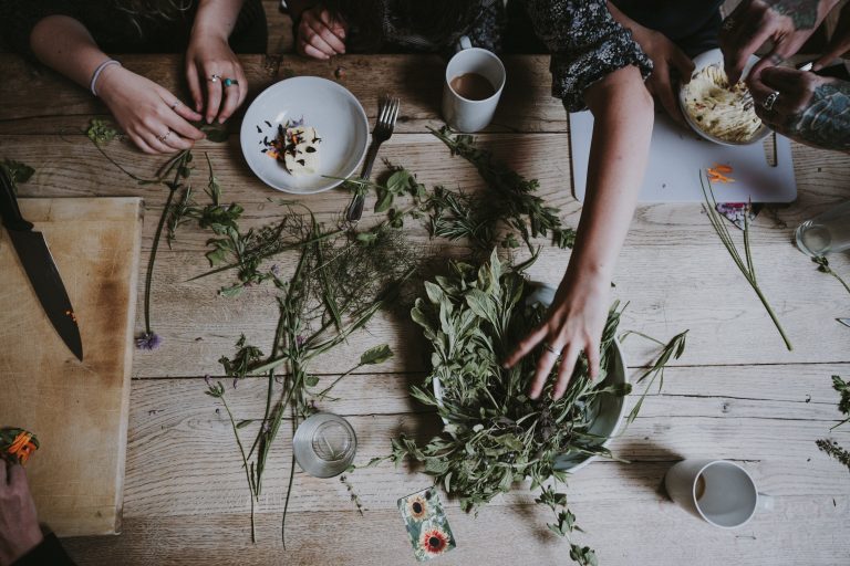 Your Best Health Herbs For Winter; 6 Winter Herbs And How to Use Them